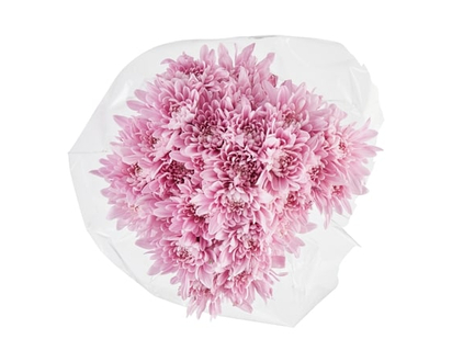 President's Choice Spray Mum bunch - 1.0 EA