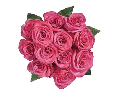 Rose Équatorienne, Couleurs Assorties, 12 Tiges - 1.0 EA