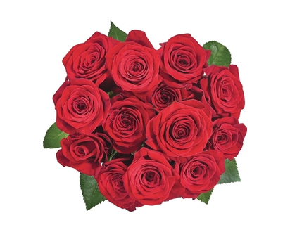 President's Choice Ecuadorian Red Rose, 12 Stems - 1.0 EA