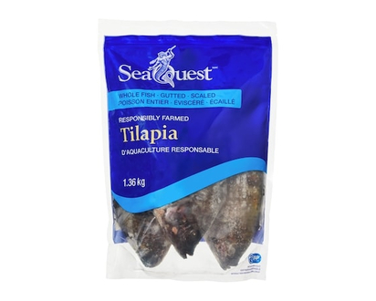 SeaQuest Tilapia, poisson entier - 1.36 KG