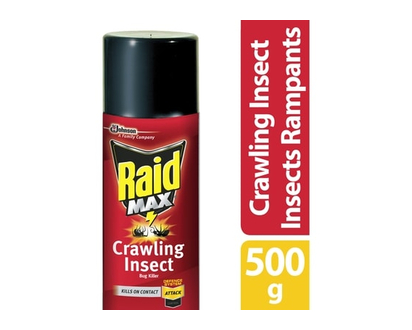 Raid Max Ant, Roach, Earwig and Crawling Insect Killer - 1.0 EA