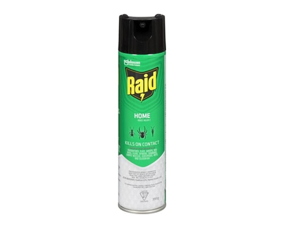 Raid Insecticide contre les insectes domestiques - 1.0 EA