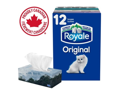 Royale Mouchoirs Original à 2 épaisseurs, 12 boîtes, 100 mouchoirs par boîte - 1.0 EA