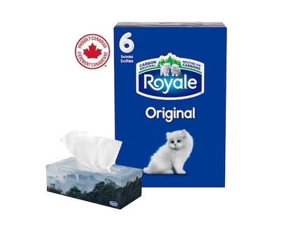 Royale Mouchoirs Original à 2 épaisseurs, 6 boîtes, 100 mouchoirs par boîte - 1.0 EA
