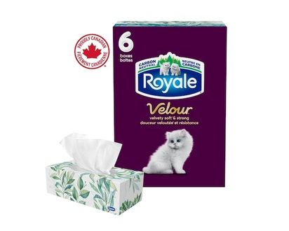 Royale Mouchoirs Velour à 3 épaisseurs, 6 boîtes, 72 mouchoirs par boîte - 1.0 EA