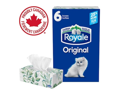 Royale Original Facial Tissue, 6 Flat Boxes, 126 Tissues per box - 1.0 EA