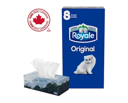 Royale Mouchoirs Original à 2 épaisseurs, 8 boîtes, 100 mouchoirs par boîte - 1.0 EA