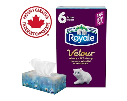 Royale Velour Facial Tissue, 6 Flat Boxes, 82 Tissues per box - 6.0 EA