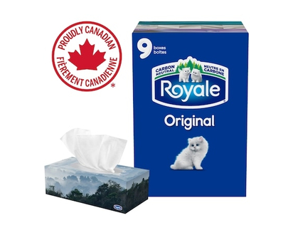 Royale Mouchoirs Original, 9 boîtes, 100 papiers-mouchoirs par boîte - 9.0 EA