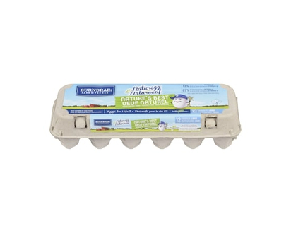 Burnbrae Farms Nature's Best White Eggs, Large - 12.0 EA