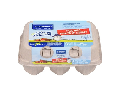 Burnbrae Farms Naturegg Free Run Eggs, Large - 6.0 EA