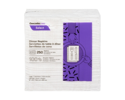 1 Ply Dinner Napkins - 12.0 EA