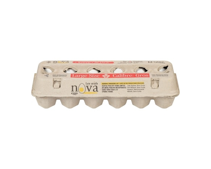 NBB Eggs White Eggs, Large - 12.0 EA