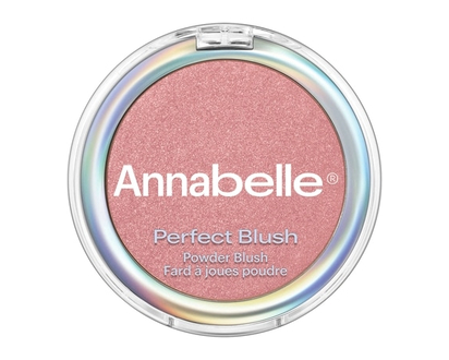 Annabelle Perfect Blush Talc-Free Powder Blush Golden Bronze - 3.0 G