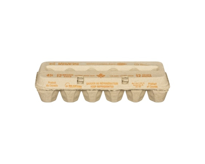 Newfoundland Egg Brown Eggs, Extra Large - 12.0 EA