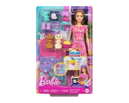 Barbie Doll and Puppy Slumber Party Playset - 1.0 EA