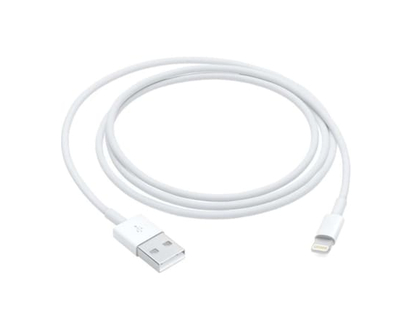 Apple 1m USB-A to Lightning Cable - 1 EA