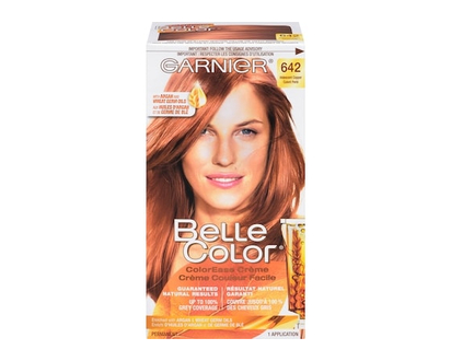 Garnier Hair Cream - 1.0 EA