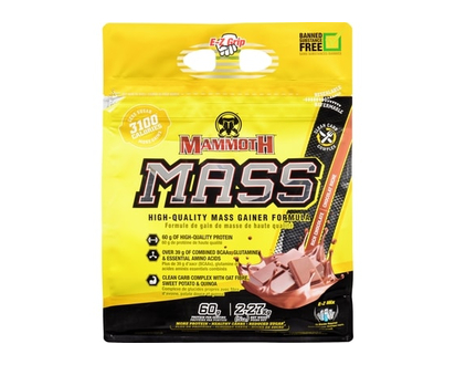 True North Mass High-Quality Mass Gainer Formula Rich Chocolate - 1.0 EA