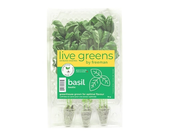 Basil - 1.0 EA