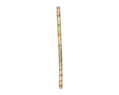 Sugar Cane - 1.0 EA
