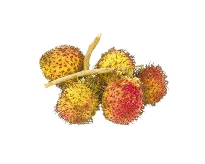 Rambutan - 1.0 EA