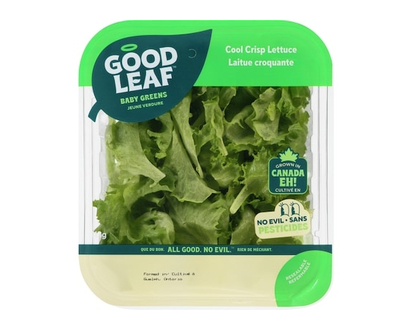 GoodLeaf Cool Crisp Lettuce Baby Greens - 0.113 KG