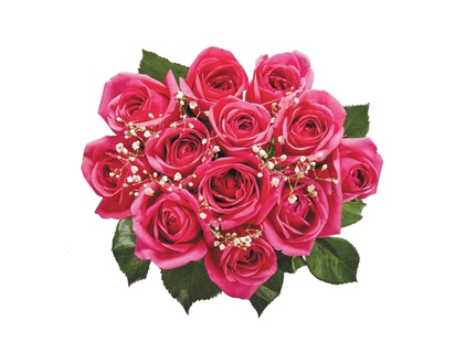 Dozen Roses in assorted colours - 1.0 EA