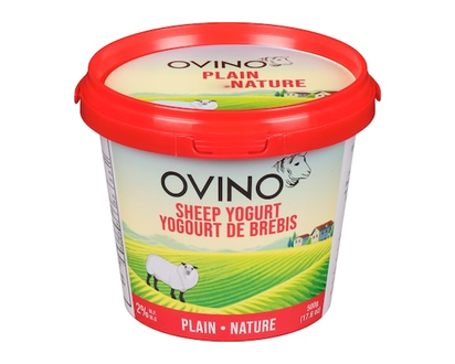 Ovino Sheep Yogurt Plain 2% M.F. - 500.0 G