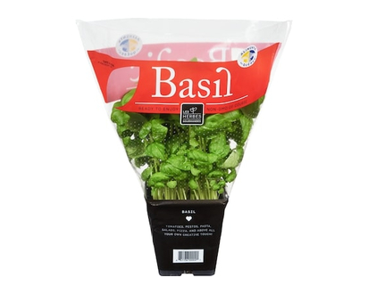 Basil - 1.0 EA