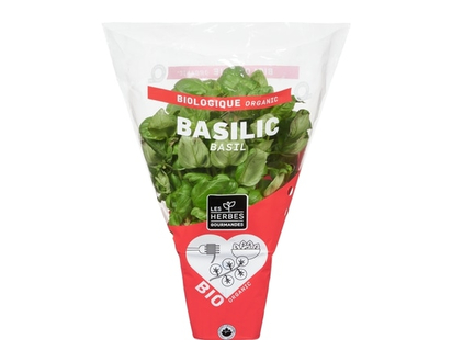 Basil Organic - 1.0 EA