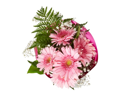 Gerbera Upgrade Bouquet - 1.0 EA