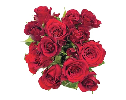 Roses 9-Stem - 1.0 EA