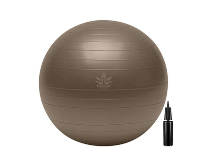 Stability Ball with Pump - 1.0 EA
