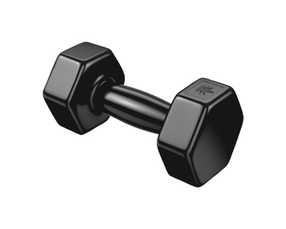 5 lbs Hand Weight Dumbbell - 1.0 EA