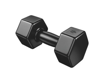 10 lbs Hand Weight Dumbbell - 1.0 EA