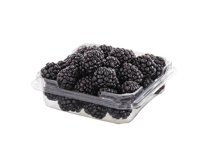 Mûres biologique - 170.0 g