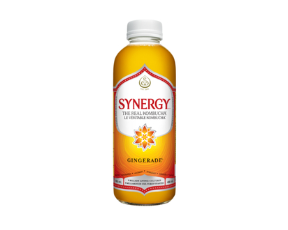 GT's Kombucha Gingerade - 480.0 ML