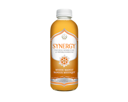 GT's Synergy Mystic Mango Kombucha - 480.0 ML