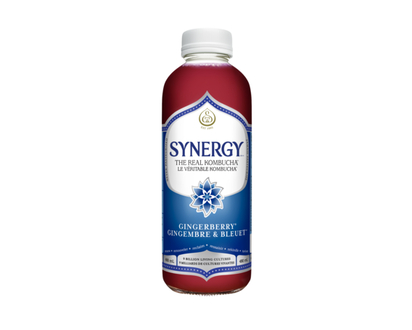 GT's Kombucha, Gingerberry - 480.0 ML