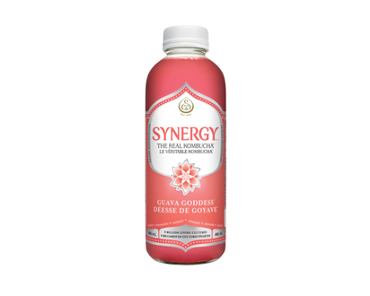 GT's Synergy Guava Goddess Kombucha Drink - 480.0 ML