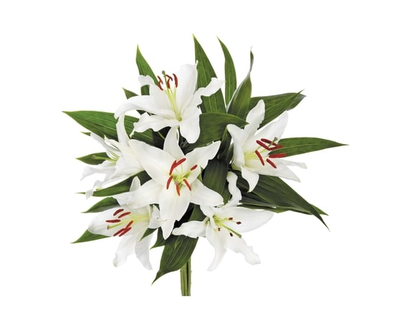 Lily bunch - 1.0 EA