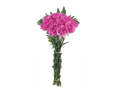 Mini Carnation bunch - 1.0 EA