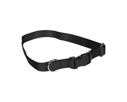 Coastal Pet Attire Adjustable Collar L - 1.0 EA
