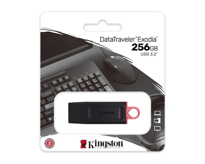 Kingston DataTraveler Exodia 256GB USB 3.2 Flash Drive - 1 EA