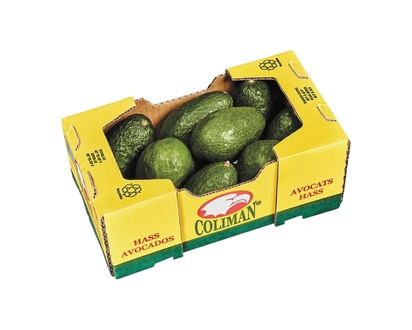 Avocado Case - 2.0 KG
