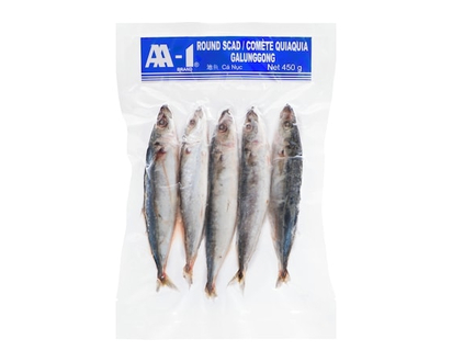 Apo Round Scad - 450.0 G