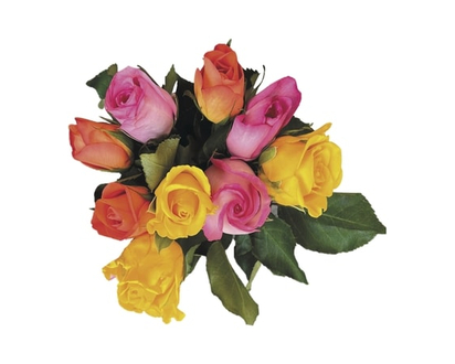 9 Stem Rose Bouquet - 1.0 EA