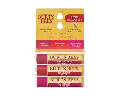 Burt's Bees Moisturizing Lip Balm - 1.0 EA