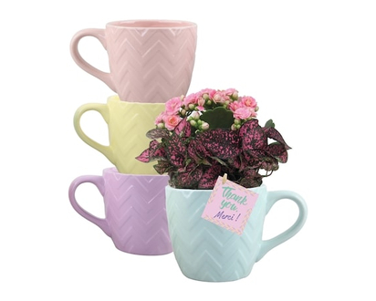 Administrative Assistants Day Garden - 1.0 EA